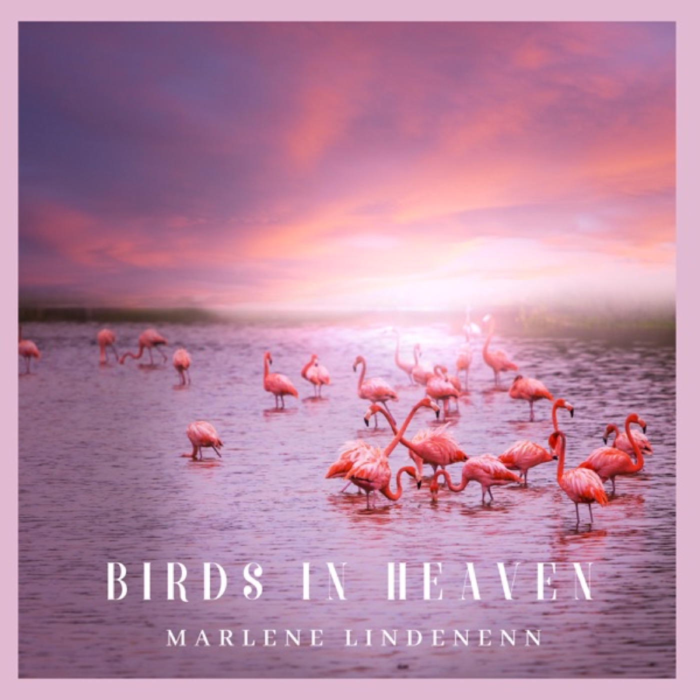 Birds in Heaven